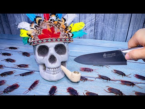 Stop motion cooking – Making Weird and Funny Foods ASMR Animation img